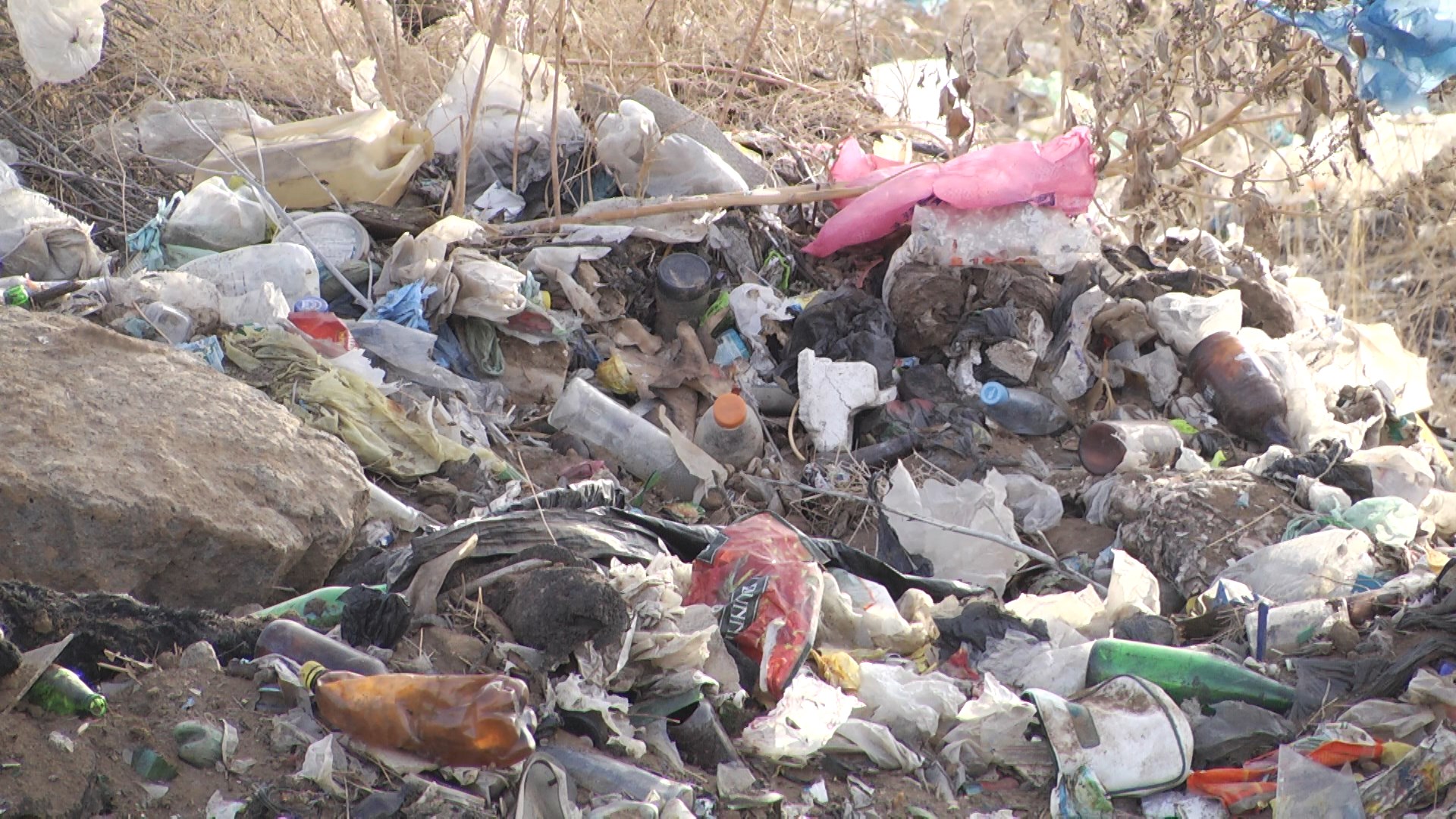В Волгограде вывезут больше тысячи кубометров мусора
